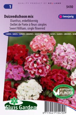 Sweet William (Dianthus barbatus) 570 seeds